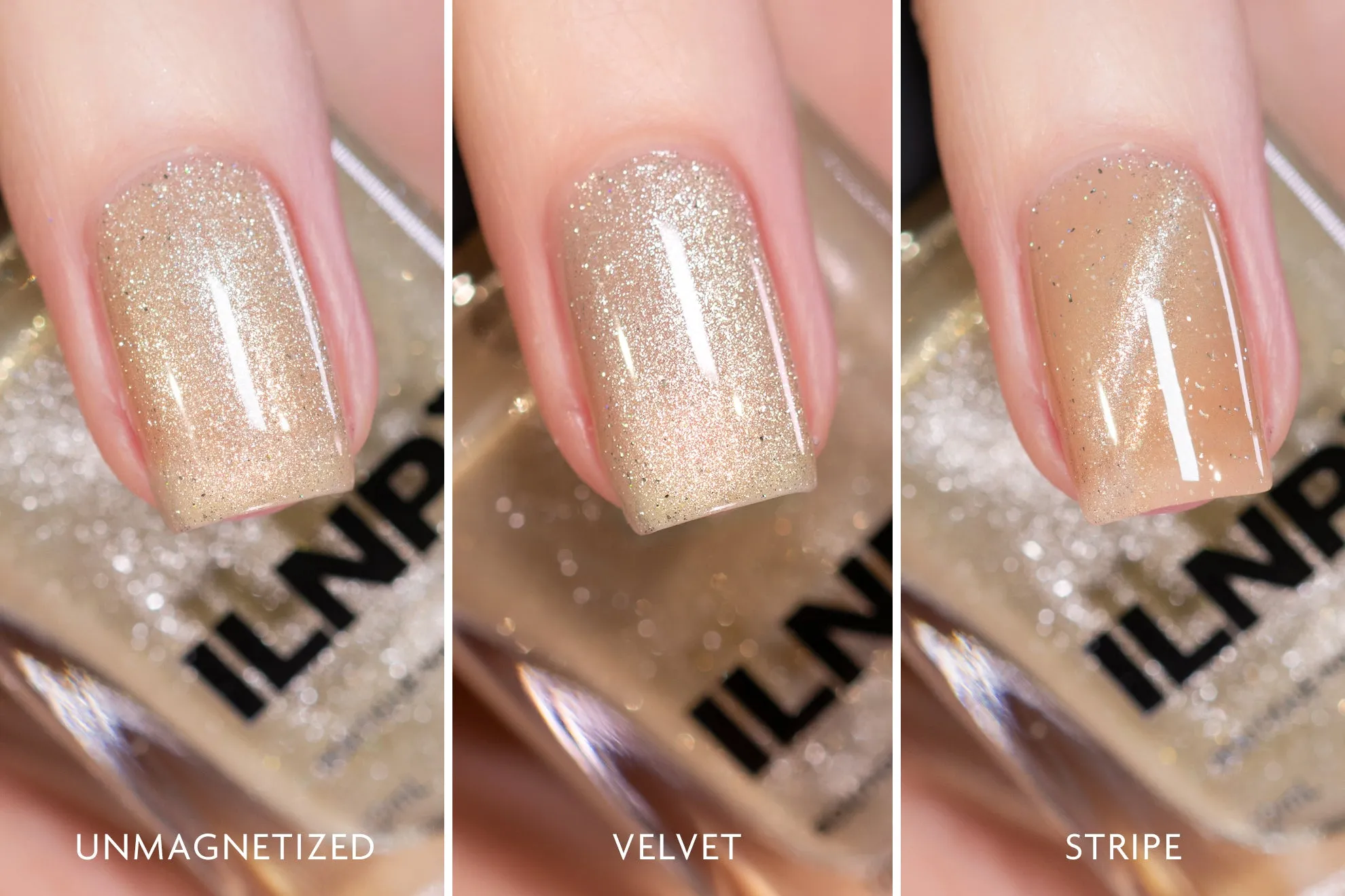 ILNP- Cashmere