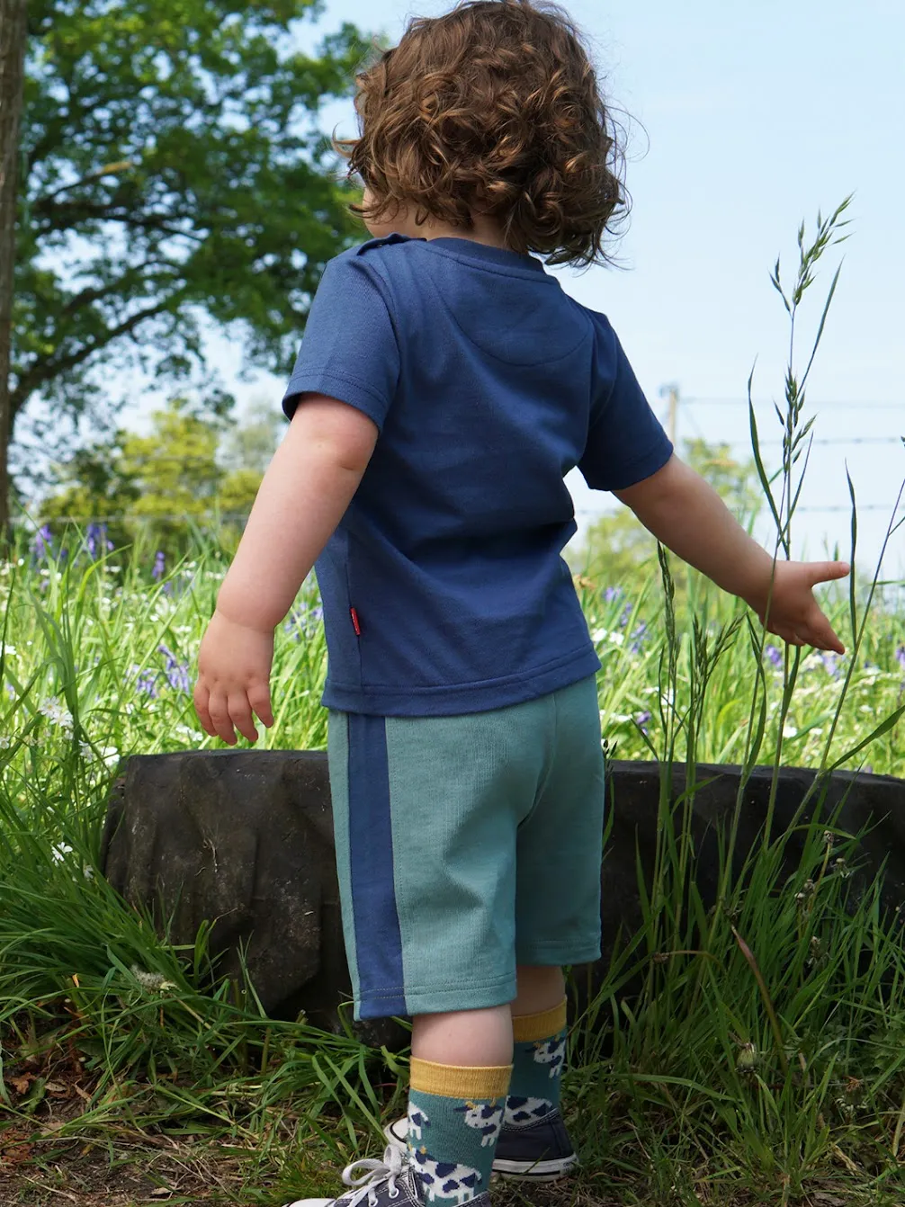 Kite Infant Corfe Shorts F556
